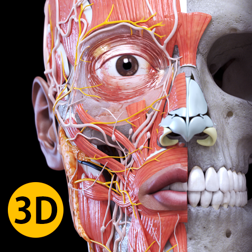 Anatomy 3D Atlas Mod